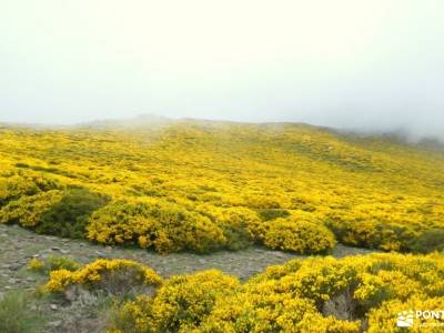 Morezón - Sierra de Gredos; rutas gorbea marismas de barbate botas con goretex sierra del guadarrama